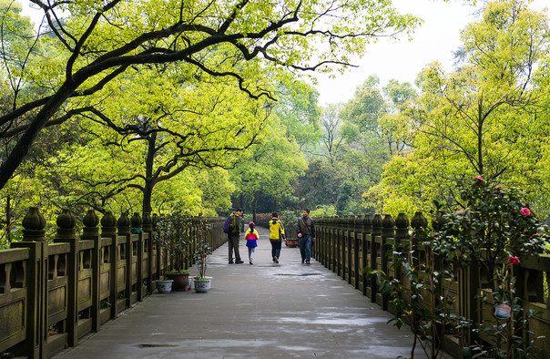 2022重庆南山植物园门票优惠政策（免费+半价）