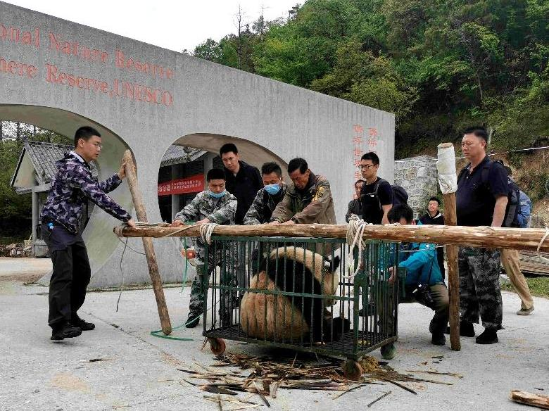 央视报道！救护国宝，毕业入职世界名企！他们都就读于北京这个“王牌”专业