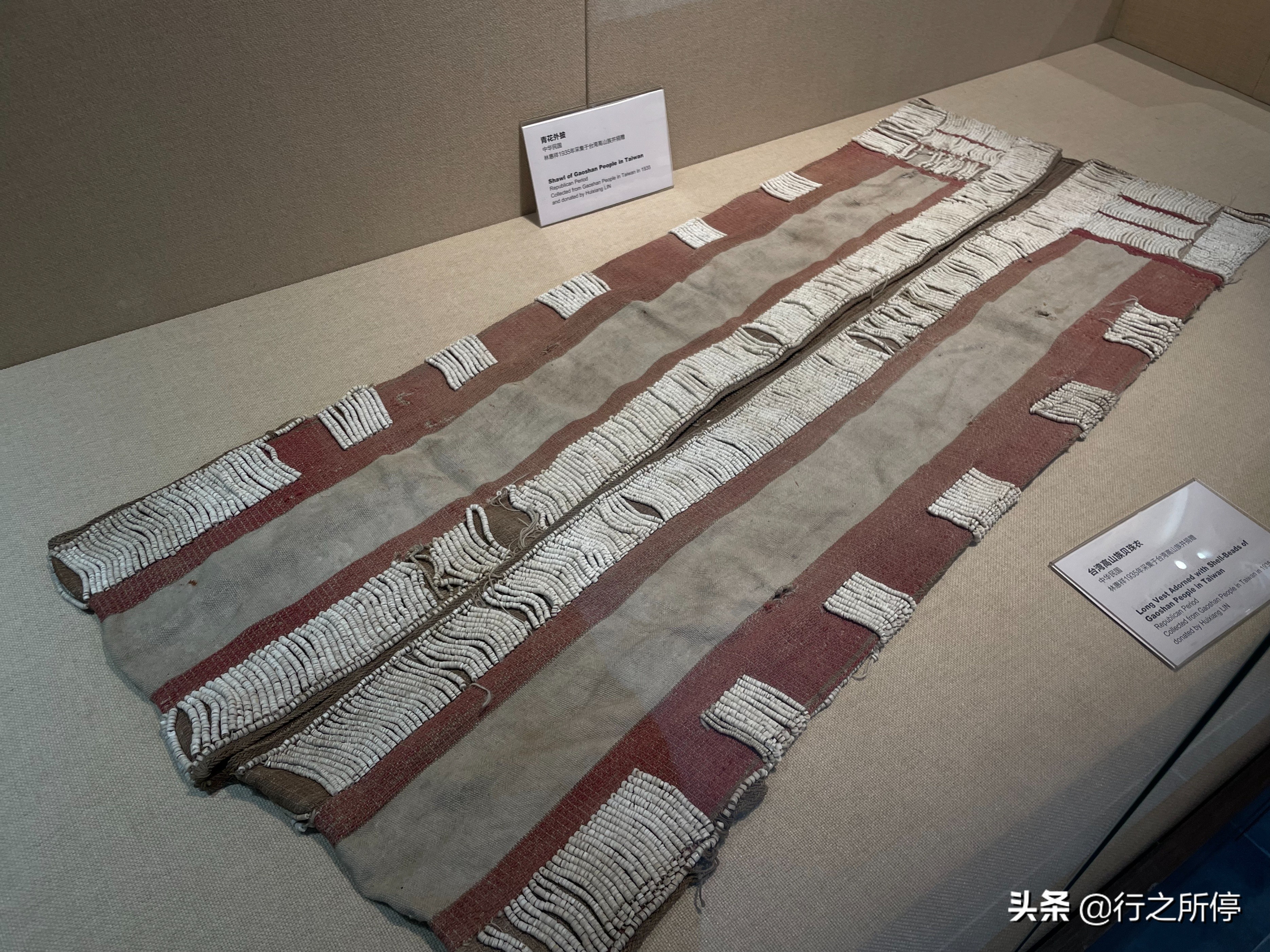 “中国最美大学”厦门大学博物馆开门了？还有惊喜的夜游活动