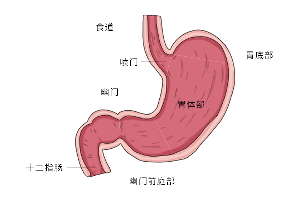 吃饭时也要注意的养胃小技巧，已经为您列好了，有时间看看