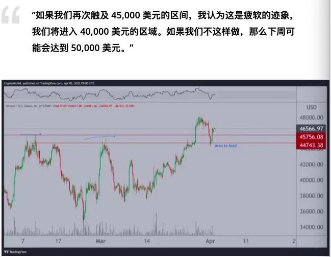 交易员称下周“可能”达到 5 万美元，比特币重拾年度开盘价