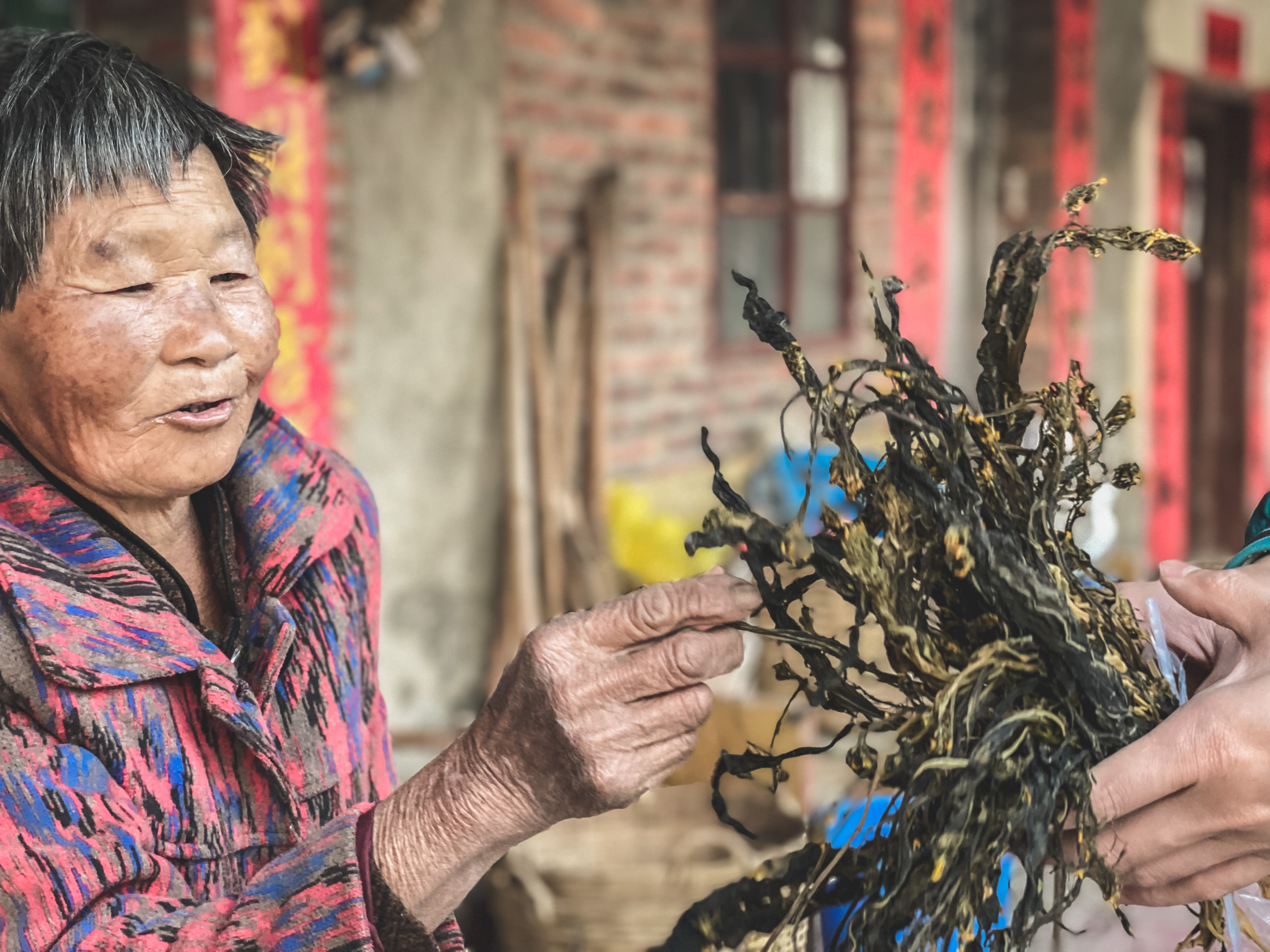 广东泡温泉去哪里？记得收藏广州后花园南昆山的游玩一站式攻略