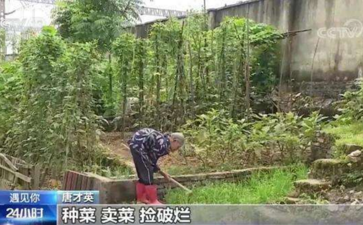 2021年，江西省24岁年轻人和85岁老人拍摄了“婚纱照”。