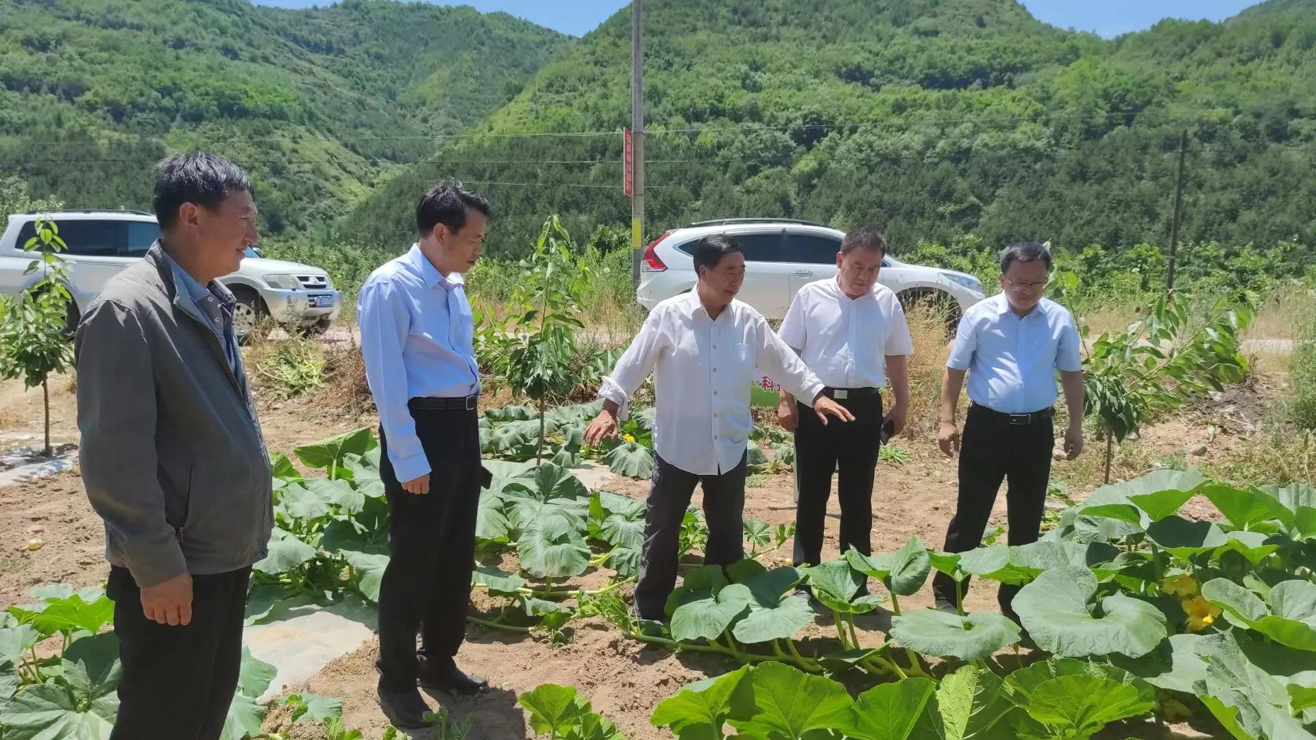 甘肅省科協調研秦州區科協工作
