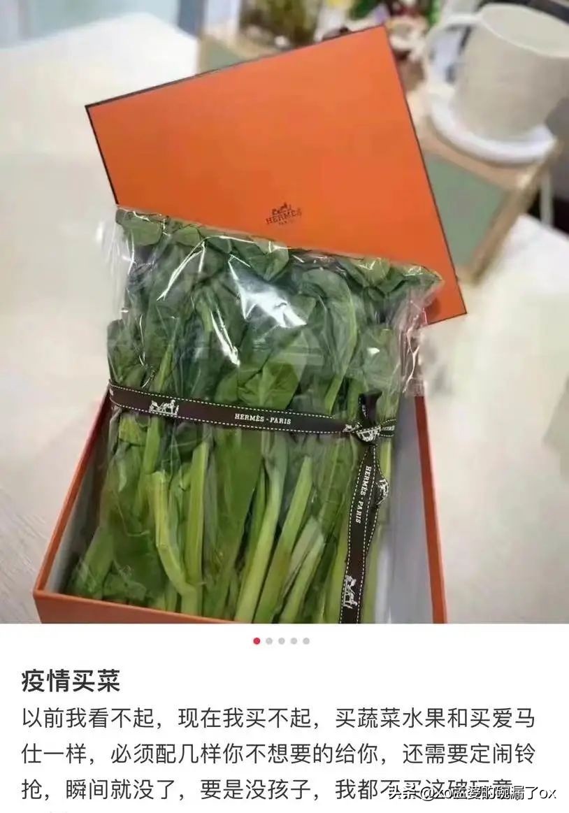 我在上海隔离：“小区是上周封的，人是这周疯的”