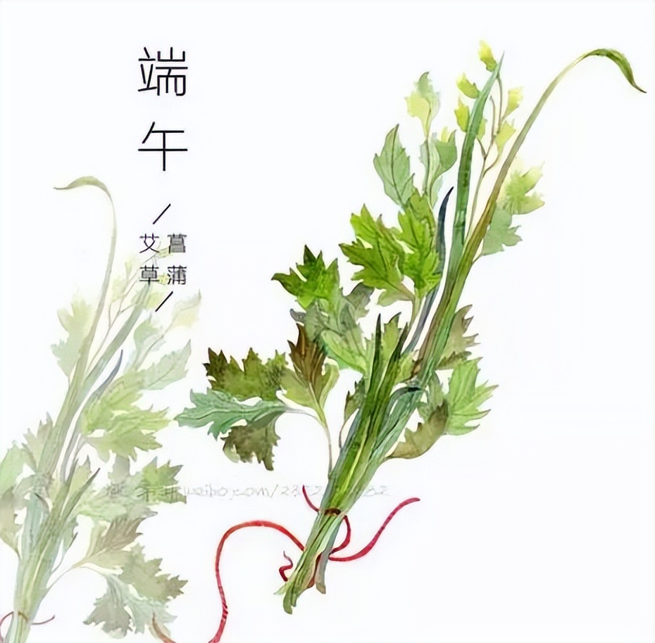 端午節(jié)的真正由來！太漲知識了