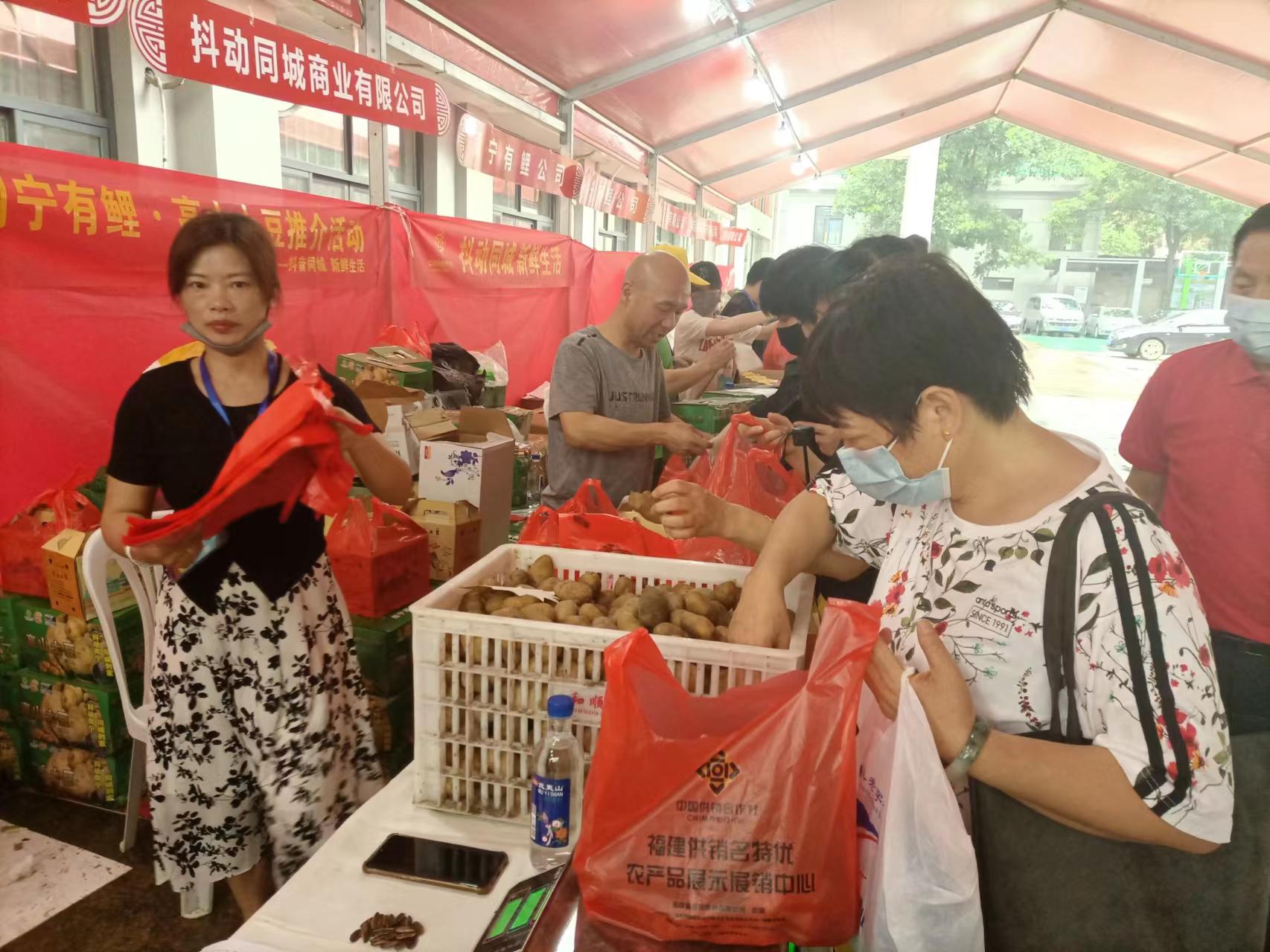 周宁有鲤·高山马铃薯推介活动在福州圆满落幕