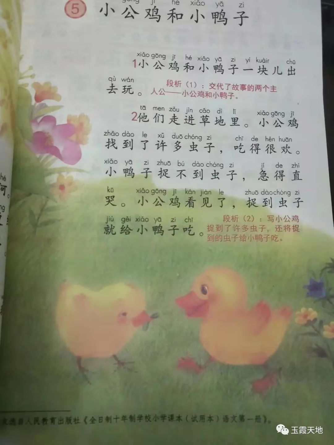 有的有的，奇妙句子大发现