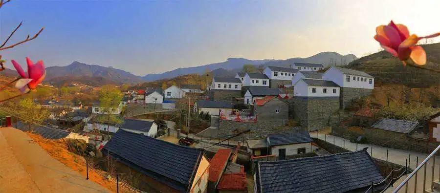 2022乡村振兴怎么干？十大成功案例值得借鉴！