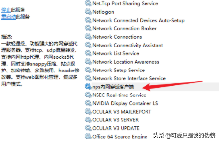 NPS內網穿透