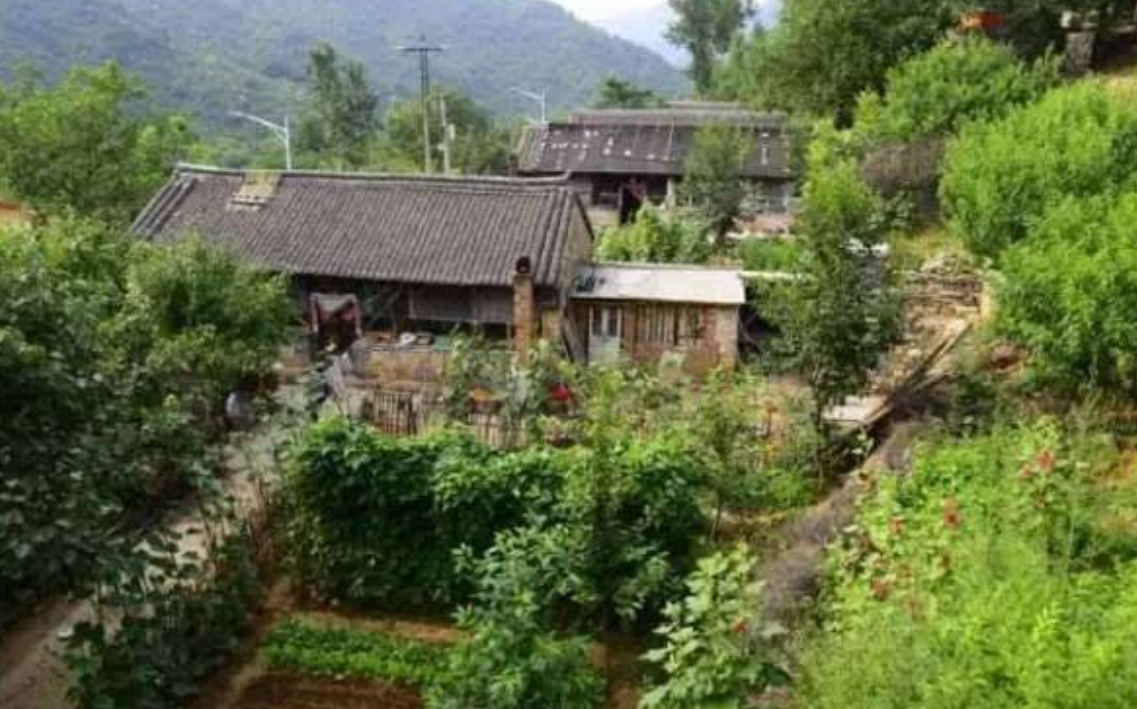 三峡“钉子户”张秉爱：全村搬迁唯独她不走，18年后结局让人唏嘘