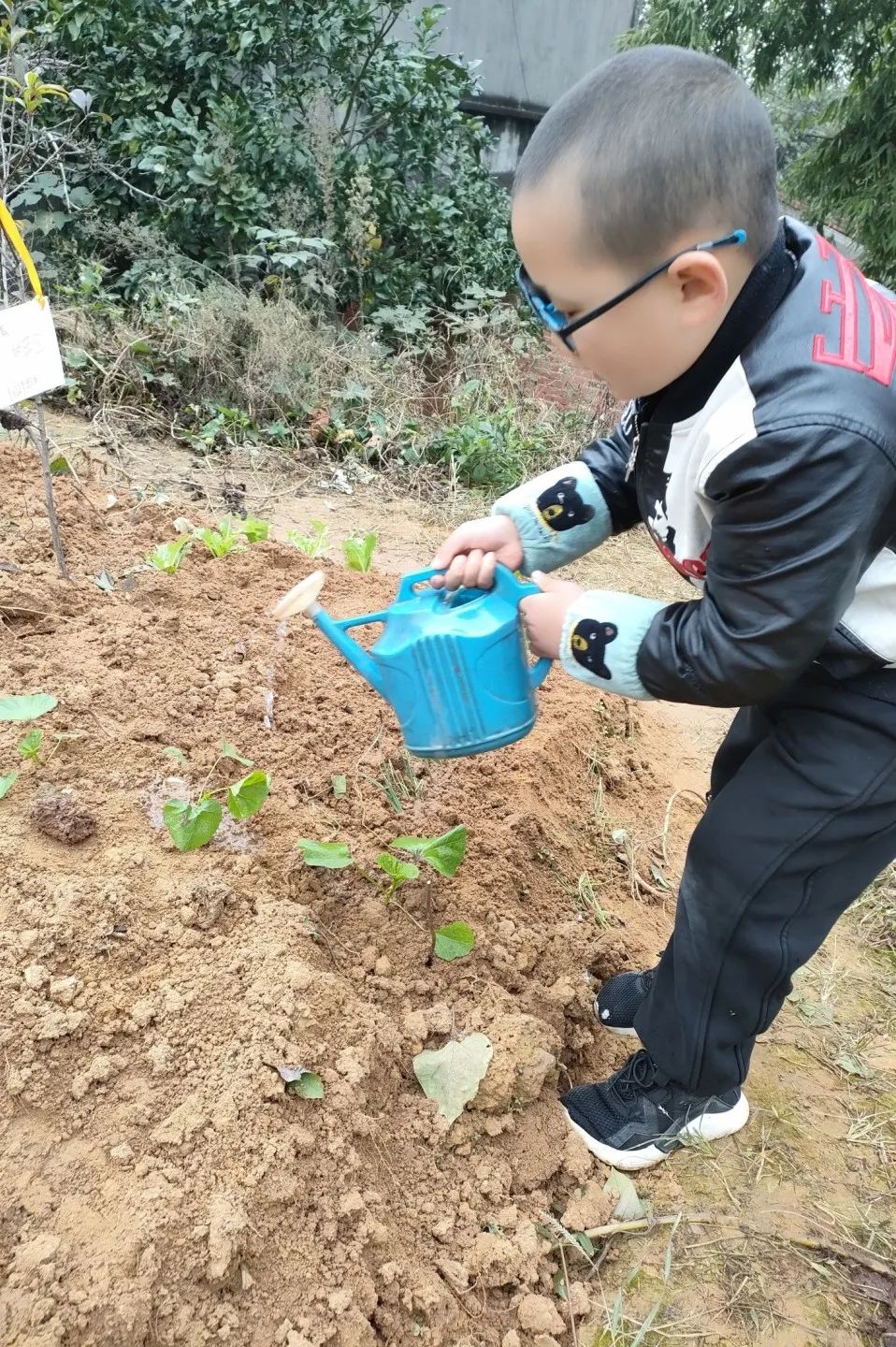 以劳动之名 收获成长之乐｜新兴小学开展“小农夫”劳动教育课程