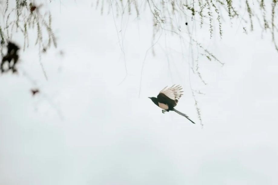 多图预警！兰大最美“校花”心动来袭，颜值超高，简直太惊艳！