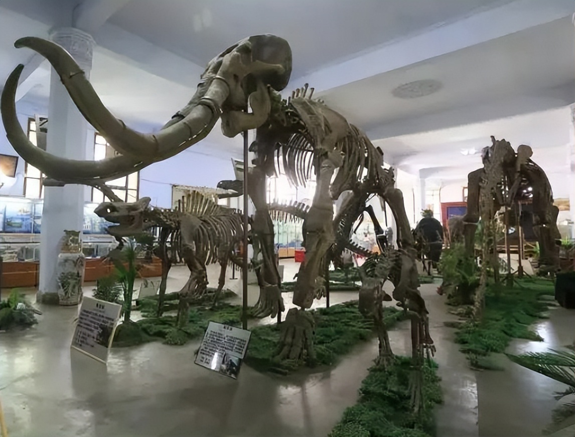 “恐龙”守候，坐拥4大食堂、水上图书馆！2022，成都理工大学等你来！