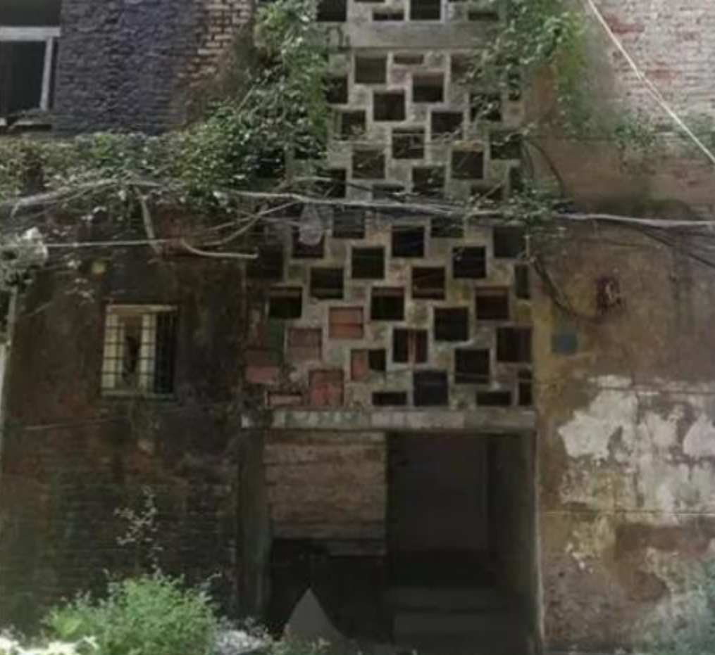 女大学生失踪12年后，她出现在母校废弃房……