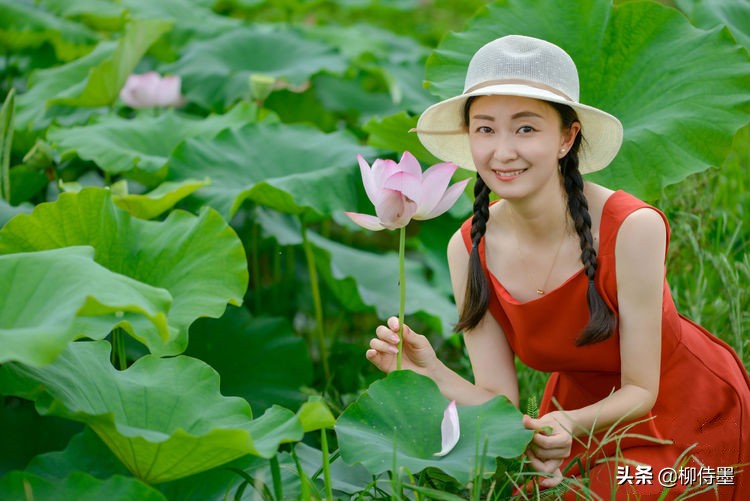 荷花盛开正当时，人像摄影怎么拍？4个要点拍出清新优雅美