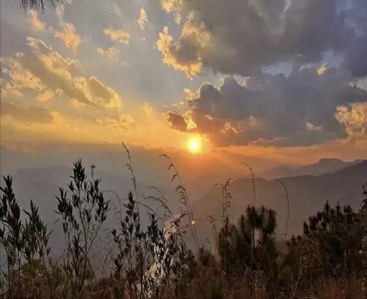 那些适合当个性标签的文案