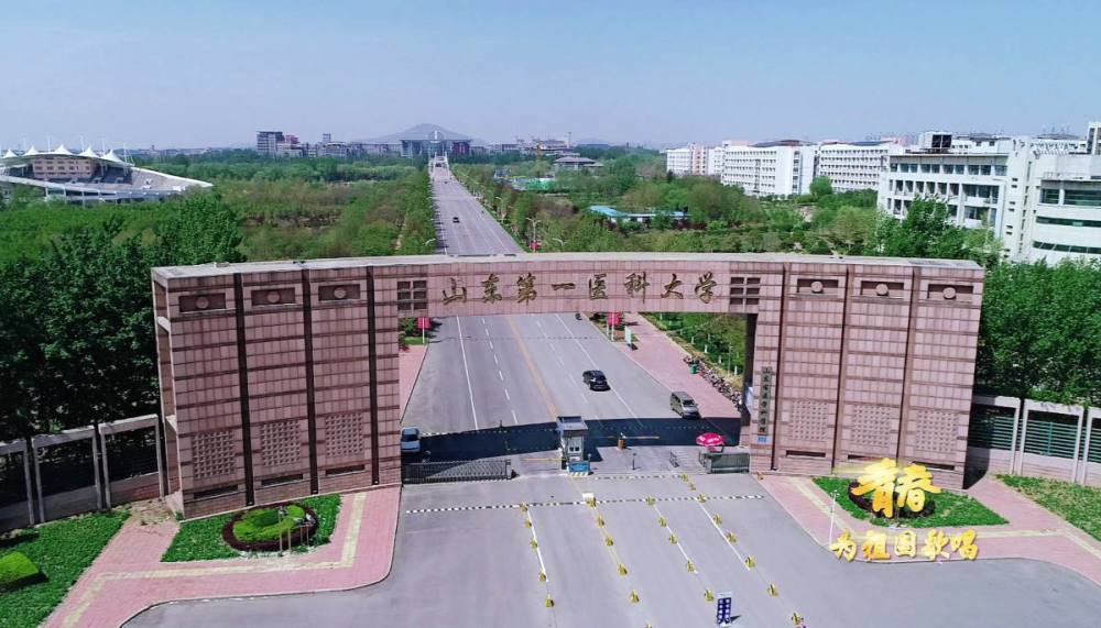 高校学术不端现象：青岛大学附属医院成重灾区