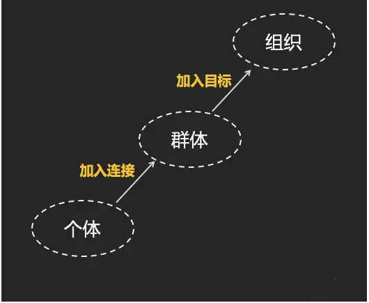 第1课：如何在元宇宙里建个DAO（岛），找到有趣的人一起赚钱？