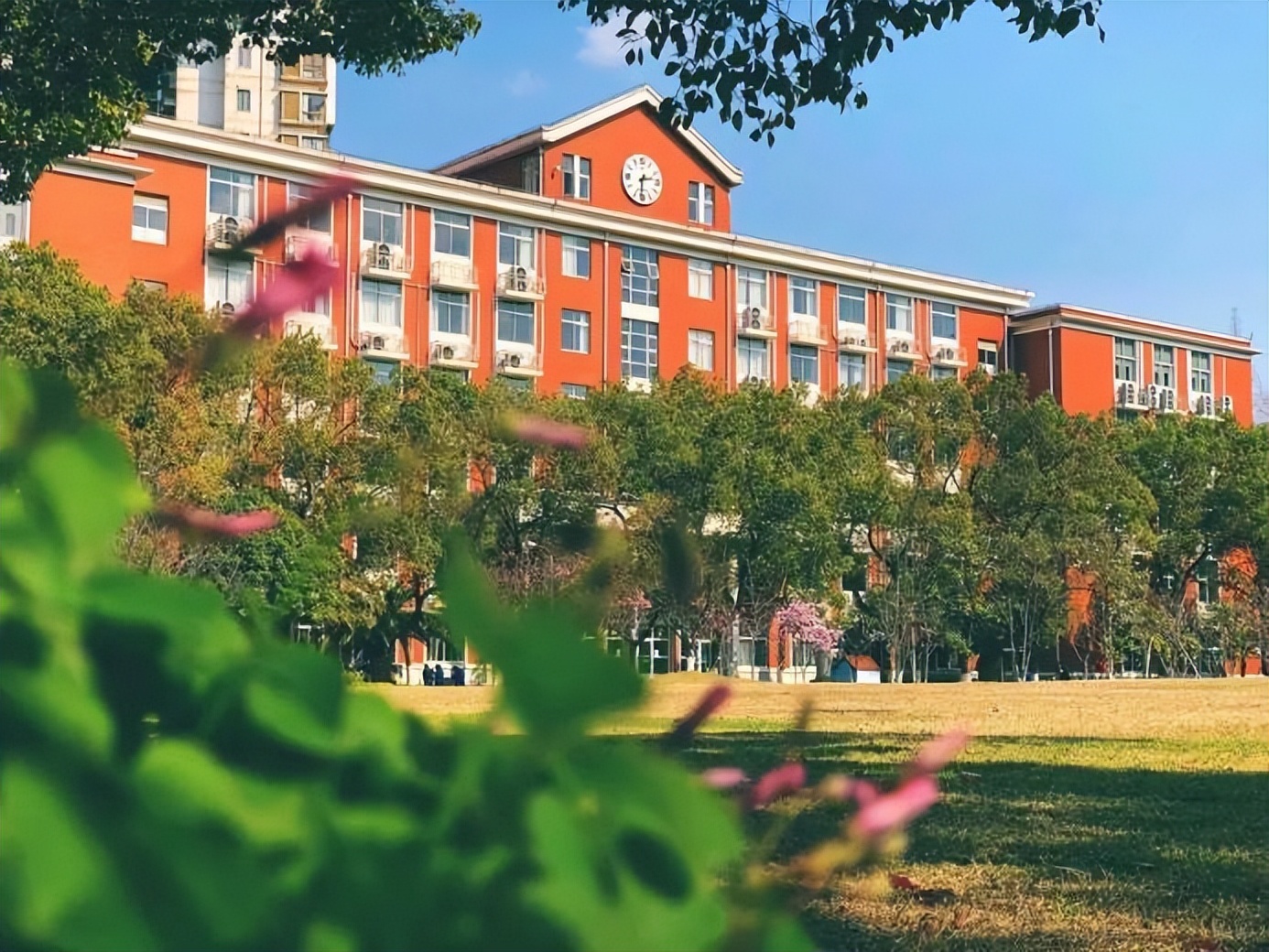 毕业生入职外交部、签约华为！上海大学硬核学院