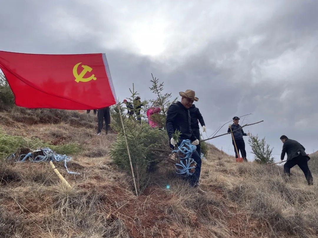 临潭县各乡镇各部门拉开春季义务植树序幕