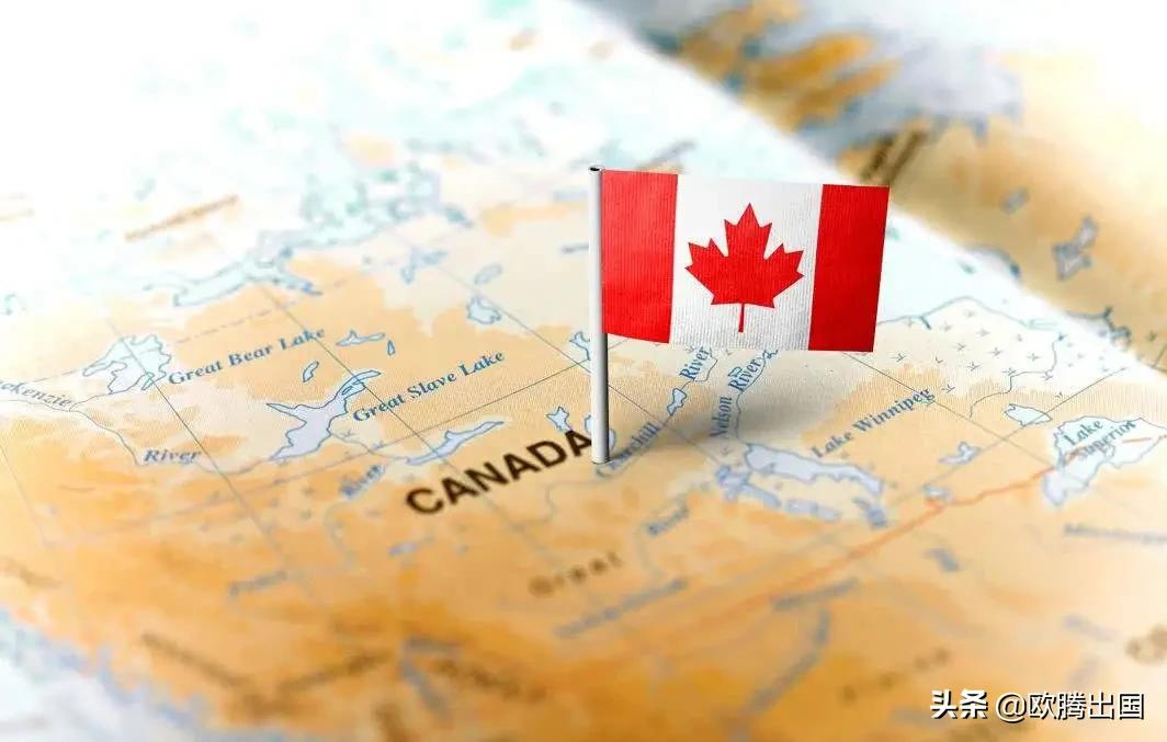 雇主担保移民加拿大，这两个坑一定要避开