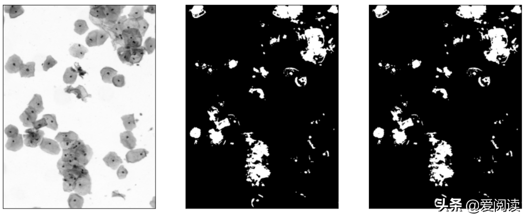 你试过吗？图像（细胞）分割