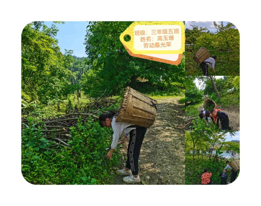 劳动的美丽 青春的风采｜双流区公兴小学开展劳动主题系列活动