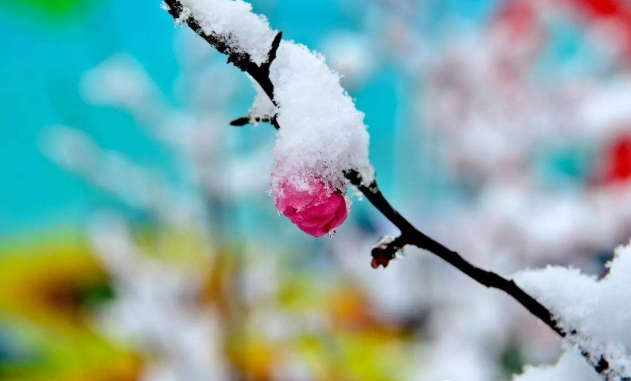 「原创诗词」管恩锋 | 若无瑞雪催春发 哪有千花焕彩颜（咏雪20首）