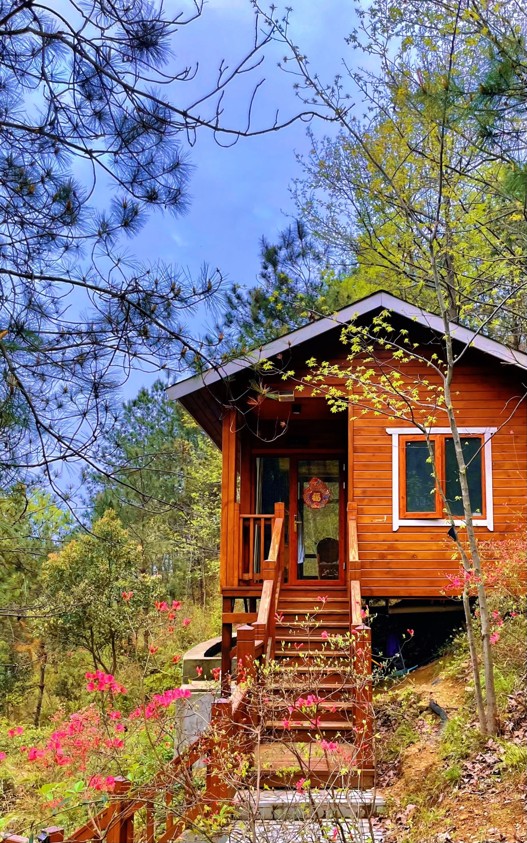 太治愈~武汉自驾2H，到山里去隐居~木屋森林溪水，神仙度假