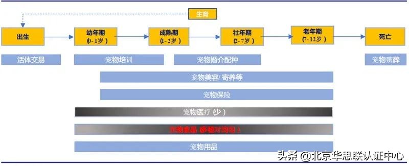 宠物食品行业概况