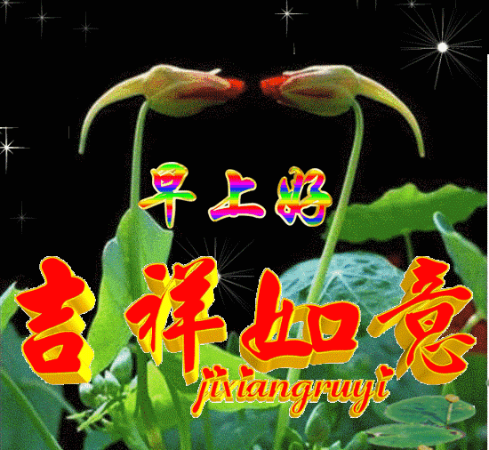 努力做一个善良的人，做一个心态阳光的人，早安