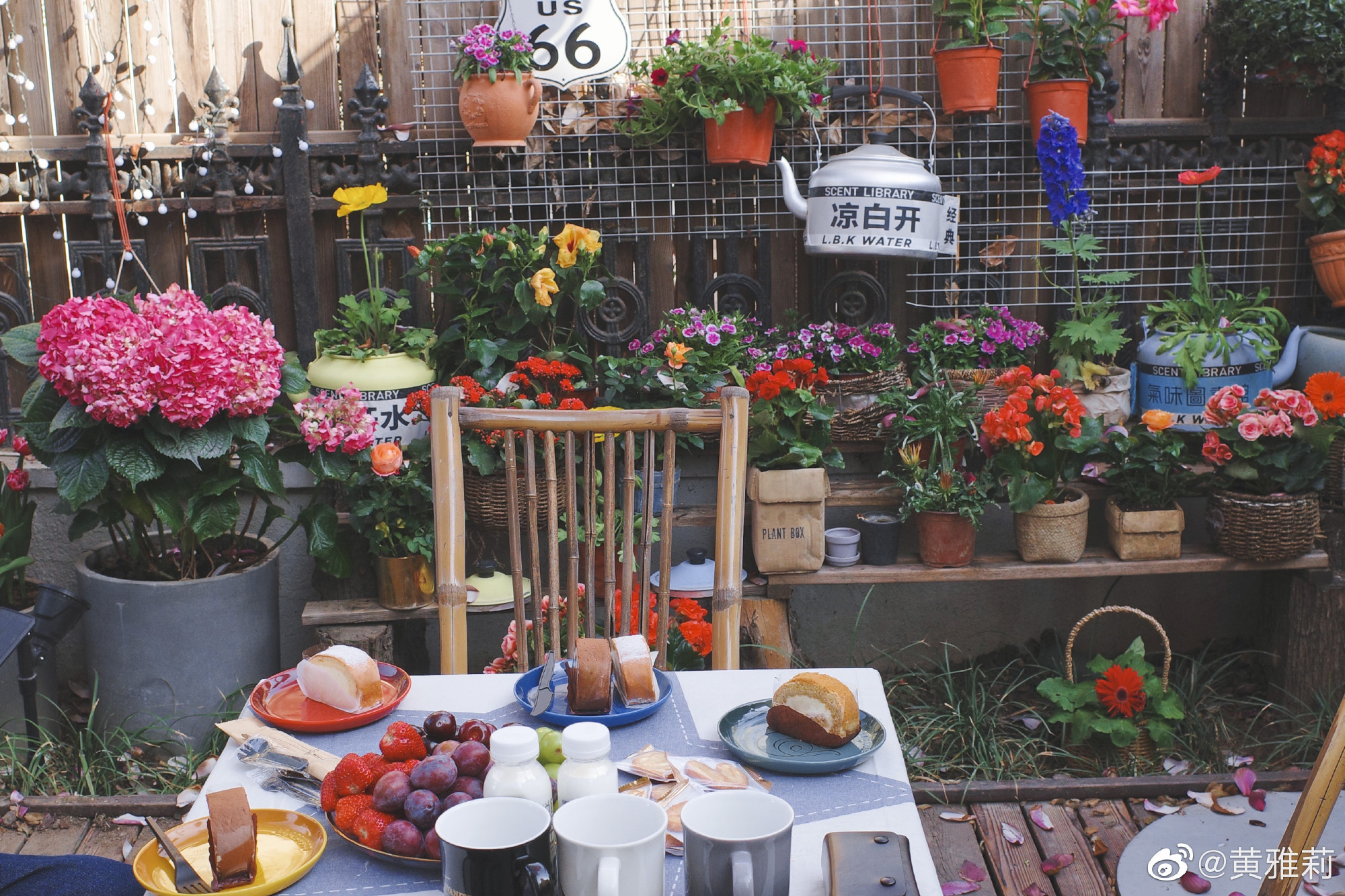 是女明星也是“菜农”！柳岩吃过刘亦菲种的茄子，张馨予家有农场