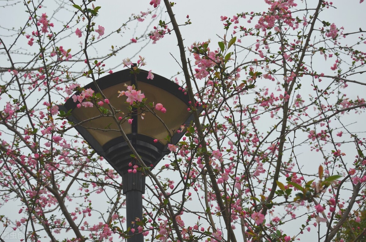 浙江师范大学非洲研究院2022年硕士研究生招生一志愿复试名单公布