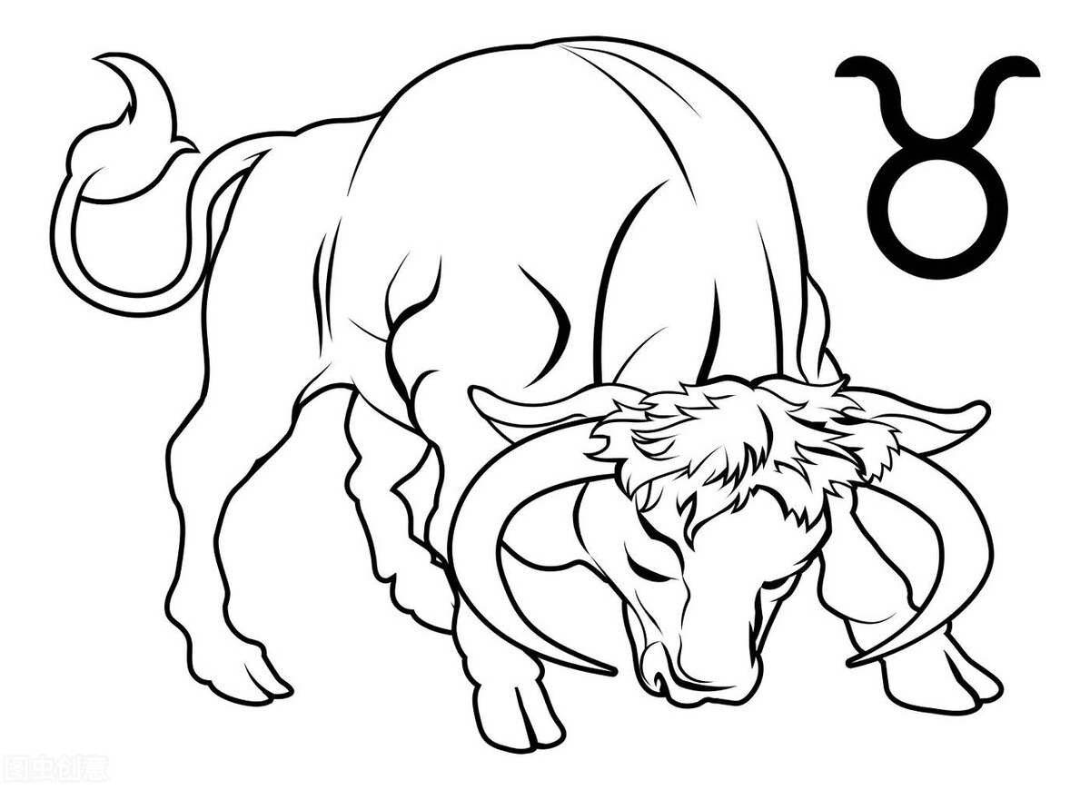 金牛的简单画法图片
