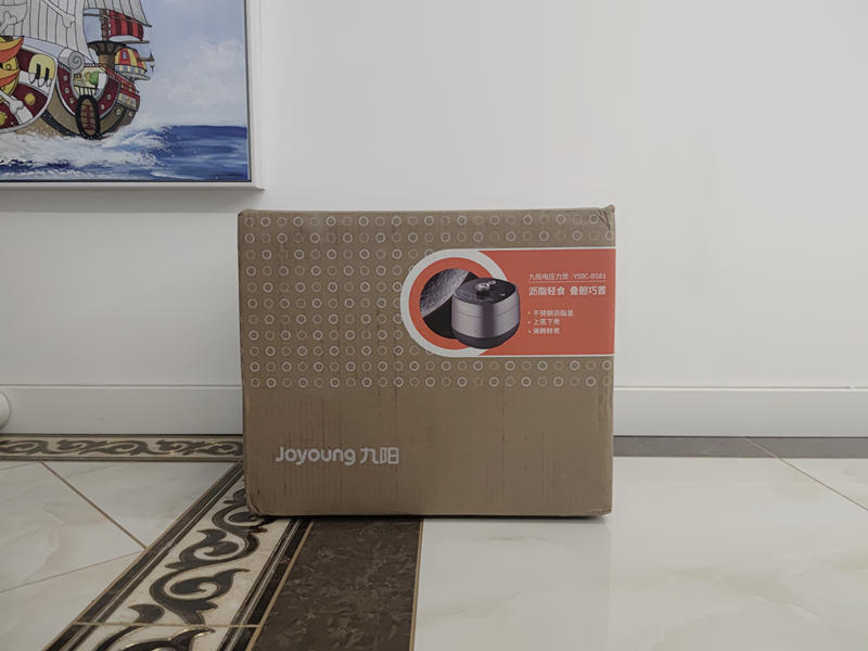 沥脂新风尚，做饭多面手，九阳电压力煲B581评测