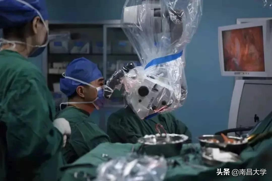 “冰墩墩”设计主创、火炬手······冬奥会上的南昌大学身影