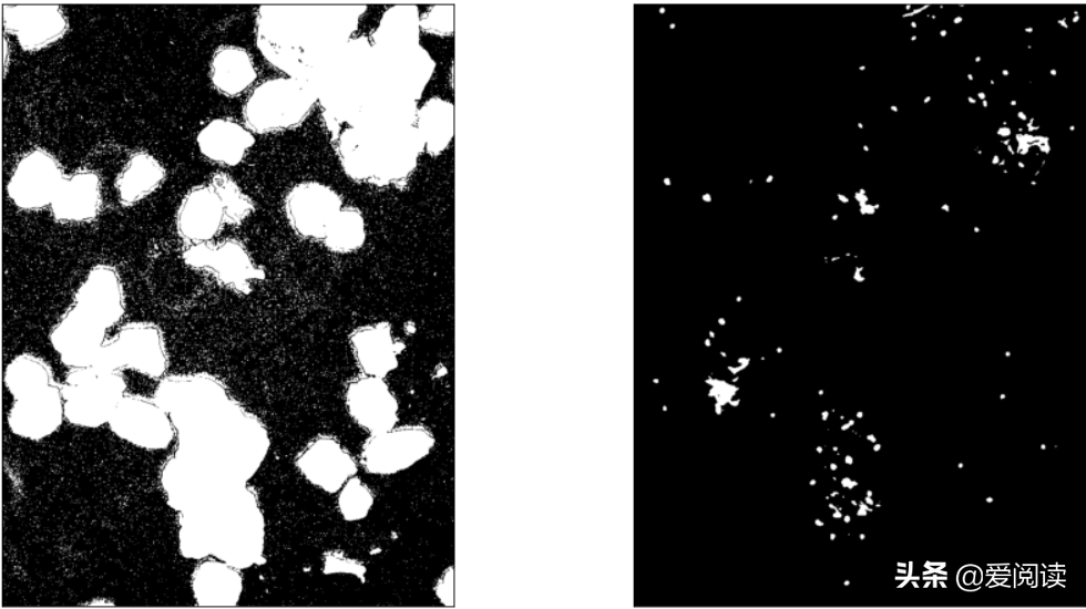你试过吗？图像（细胞）分割