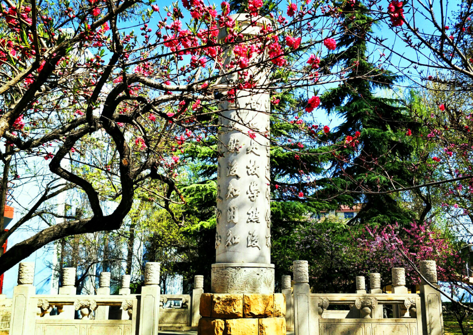 官宣！11所大学迎来搬迁，地理位置变得更好，有兴趣的学生注意了