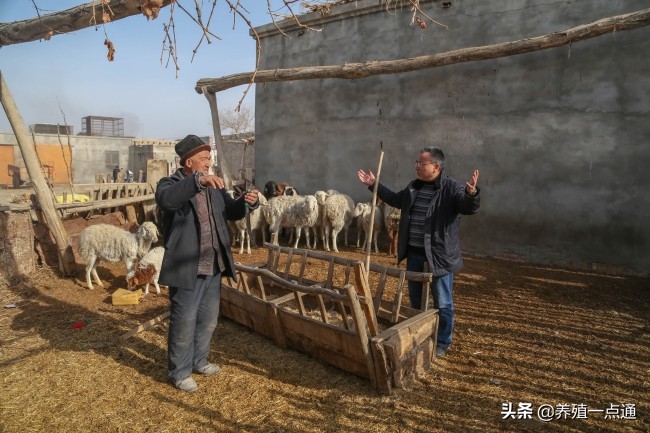 杨开伦（白族），云南大理人，新疆农业大学动科院长，牛羊专家