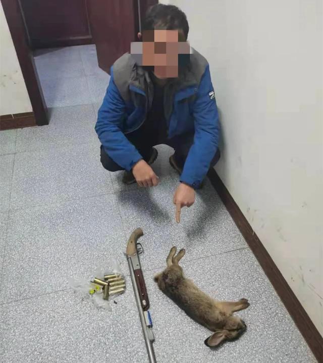 湖南三名男子捕捉一只野兔被抓！专家：为保护动物，每只300元