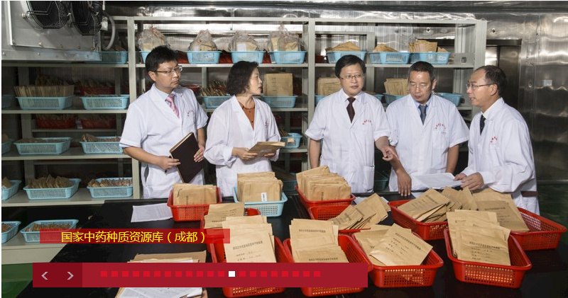 考研倒计时丨中药学硕士迎来高光时刻？四川热门高校有哪些？