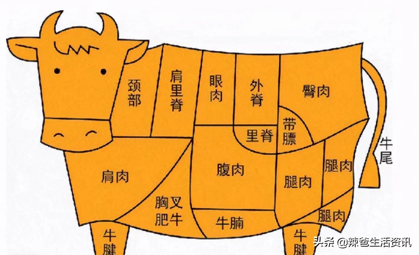 牛肉"10个部位"各有不同!买牛肉不再"迷糊",赶快收藏