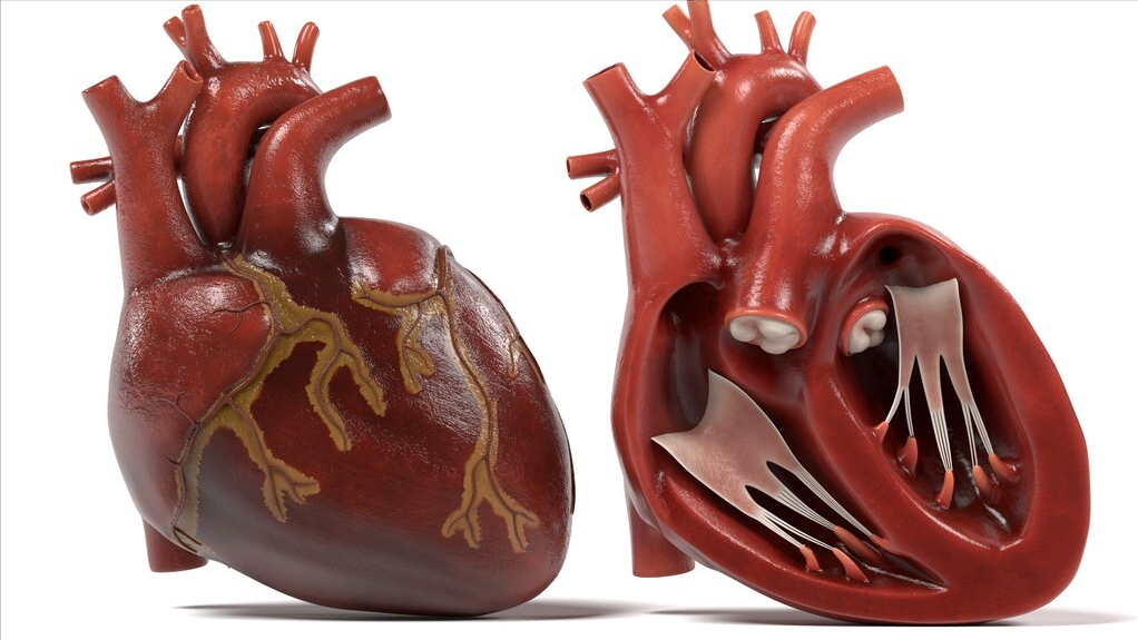 新生儿呼吸困难,全身青紫,确诊三尖瓣闭锁,需要做手术吗?