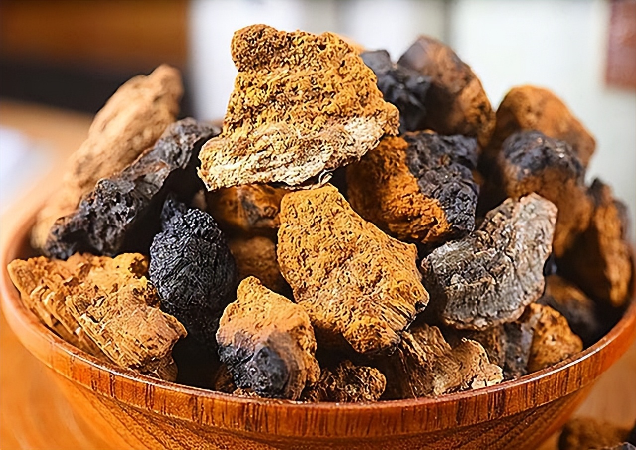 白桦茸的价格16年四川小伙去俄罗斯种土豆