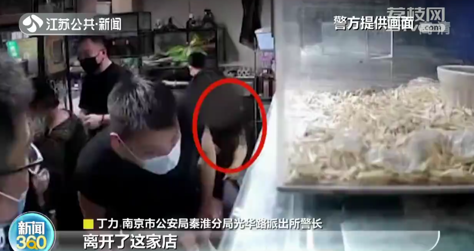 买一偷一！南京女子偷蜥蜴怕露馅 挑一只便宜的买单
