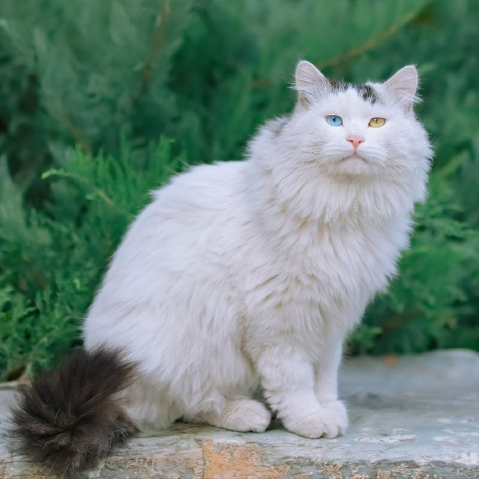 这几点太可怕了