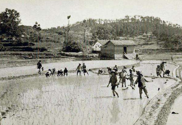 08年地震，吴家芳背亡妻回家感动无数国人，为何半年后却遭人辱骂