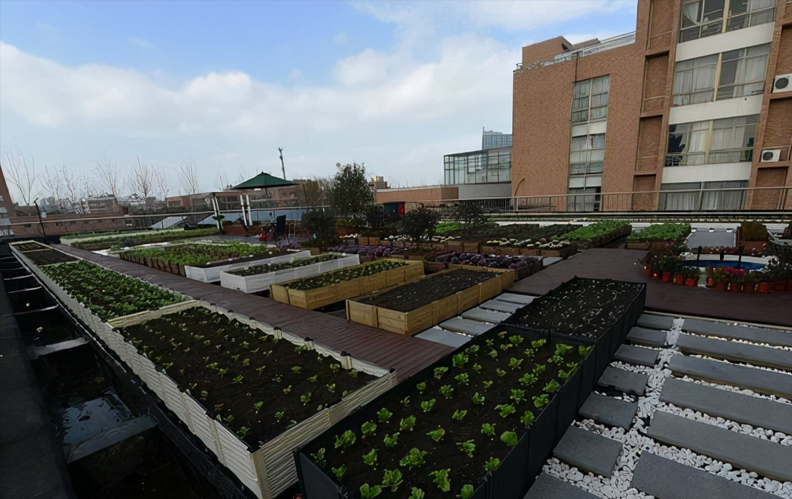 浙江三所院校被全面点名曝光，臭名昭著，学历一点作用也没有