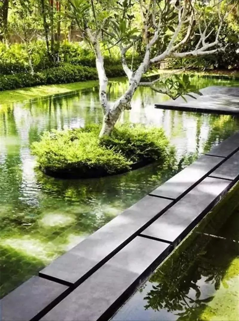 汀步，趣味无穷